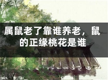 属鼠老了靠谁养老,鼠的正缘桃花是谁