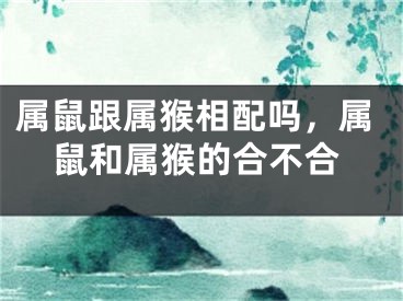属鼠跟属猴相配吗，属鼠和属猴的合不合