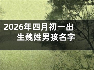 2026年四月初一出生魏姓男孩名字