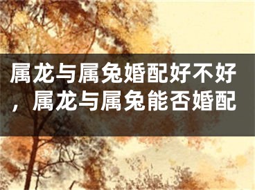 属龙与属兔婚配好不好，属龙与属兔能否婚配