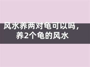 风水养两对龟可以吗，养2个龟的风水