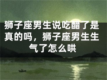 狮子座男生说吃醋了是真的吗，狮子座男生生气了怎么哄