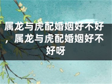 属龙与虎配婚姻好不好，属龙与虎配婚姻好不好呀