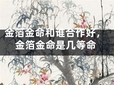 金箔金命和谁合作好，金箔金命是几等命