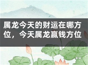 属龙今天的财运在哪方位,今天属龙赢钱方位