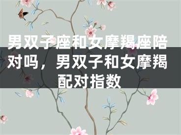 男双子座和女摩羯座陪对吗，男双子和女摩羯配对指数