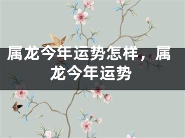 属龙今年运势怎样,属龙今年运势
