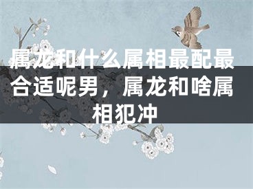 属龙和什么属相最配最合适呢男，属龙和啥属相犯冲