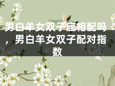 男白羊女双子座相配吗，男白羊女双子配对指数