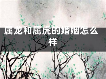 属龙和属虎的婚姻怎么样