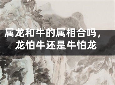 属龙和牛的属相合吗,龙怕牛还是牛怕龙