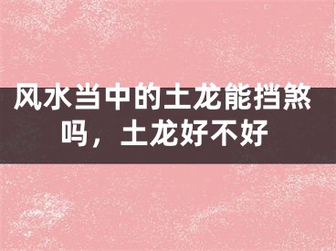 风水当中的土龙能挡煞吗,土龙好不好