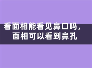 看面相能看见鼻口吗，面相可以看到鼻孔