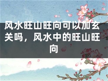 风水旺山旺向可以加玄关吗,风水中的旺山旺向