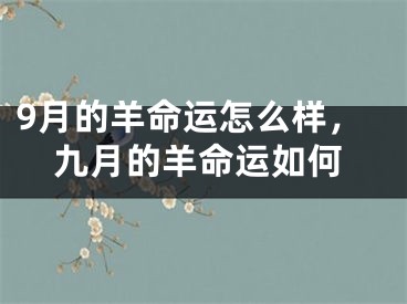 9月的羊命运怎么样，九月的羊命运如何