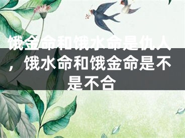 饿金命和饿水命是仇人，饿水命和饿金命是不是不合