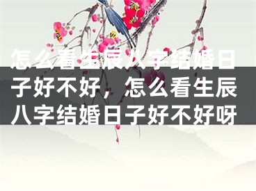 怎么看生辰八字结婚日子好不好，怎么看生辰八字结婚日子好不好呀