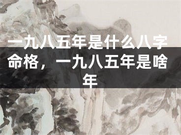 一九八五年是什么八字命格，一九八五年是啥年