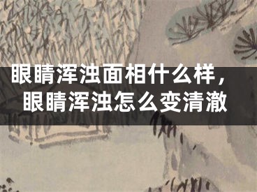 眼睛浑浊面相什么样,眼睛浑浊怎么变清澈