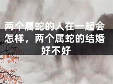 两个属蛇的人在一起会怎样，两个属蛇的结婚好不好