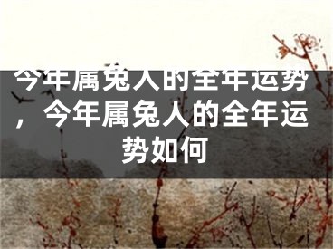 今年属兔人的全年运势，今年属兔人的全年运势如何