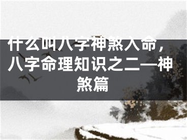 什么叫八字神煞入命，八字命理知识之二—神煞篇