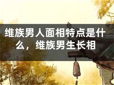维族男人面相特点是什么，维族男生长相