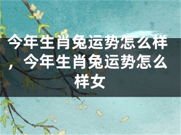 今年生肖兔运势怎么样，今年生肖兔运势怎么样女