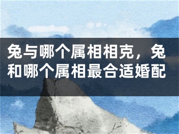 兔与哪个属相相克，兔和哪个属相最合适婚配
