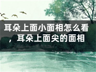 耳朵上面小面相怎么看，耳朵上面尖的面相