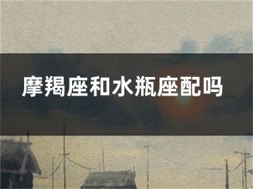 摩羯座和水瓶座配吗