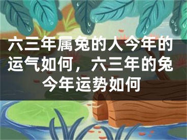 六三年属兔的人今年的运气如何，六三年的兔今年运势如何