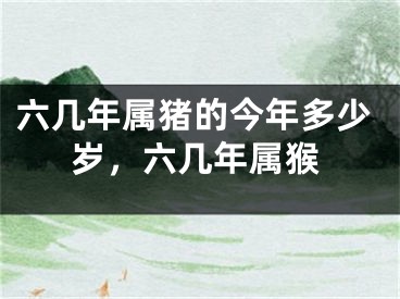 六几年属猪的今年多少岁，六几年属猴