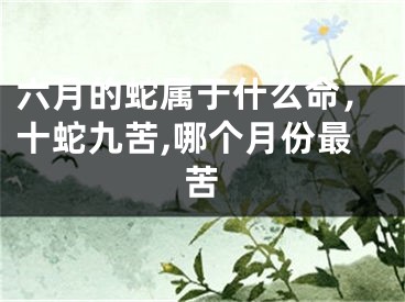 六月的蛇属于什么命，十蛇九苦,哪个月份最苦