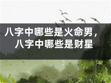 八字中哪些是火命男，八字中哪些是财星