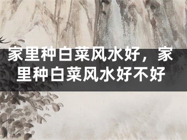 家里种白菜风水好，家里种白菜风水好不好