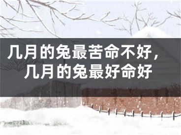 几月的兔最苦命不好,几月的兔最好命好