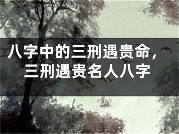 八字中的三刑遇贵命，三刑遇贵名人八字