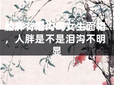 脸胖有泪沟吗女生面相，人胖是不是泪沟不明显