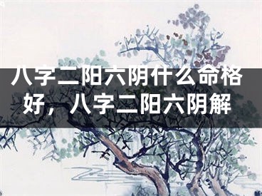 八字二阳六阴什么命格好，八字二阳六阴解