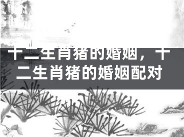 十二生肖猪的婚姻，十二生肖猪的婚姻配对