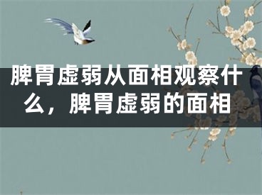 脾胃虚弱从面相观察什么，脾胃虚弱的面相