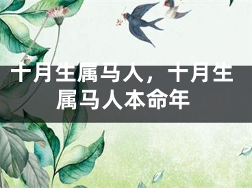 十月生属马人,十月生属马人本命年