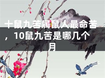 十鼠九苦属鼠人最命苦，10鼠九苦是哪几个月