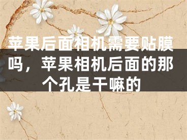 苹果后面相机需要贴膜吗，苹果相机后面的那个孔是干嘛的
