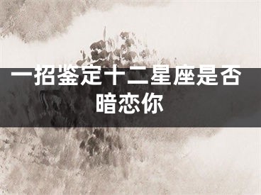 一招鉴定十二星座是否暗恋你